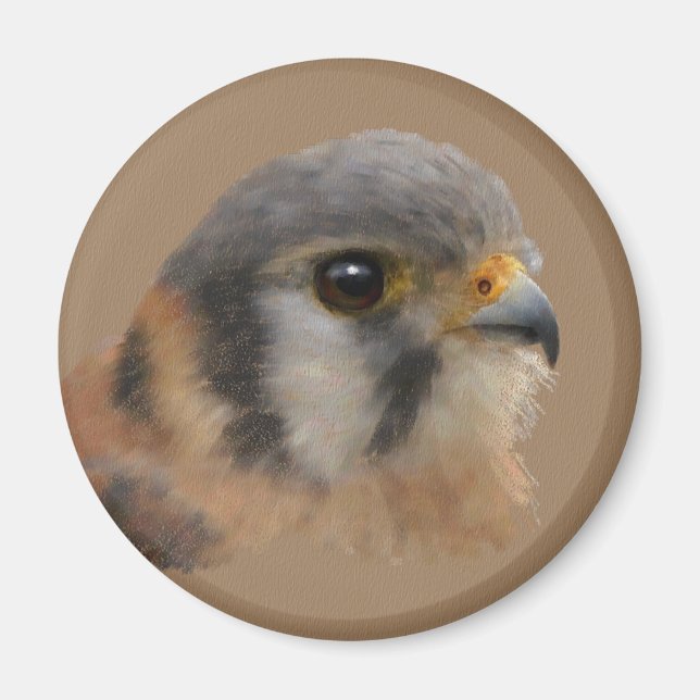 Aimant Kestrel américain (Devant)