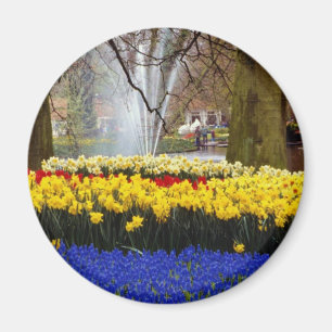 Aimant Keukenhof jaune fait du jardinage, Amsterdam,
