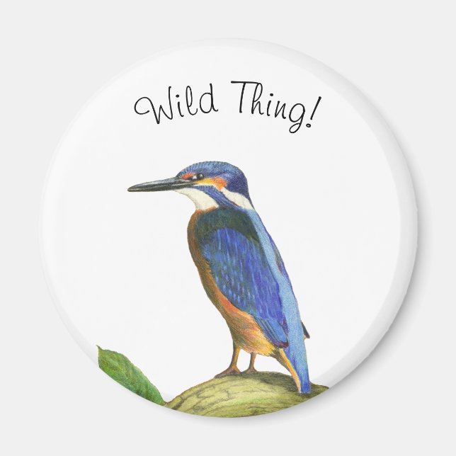 Aimant Kingfisher (Devant)