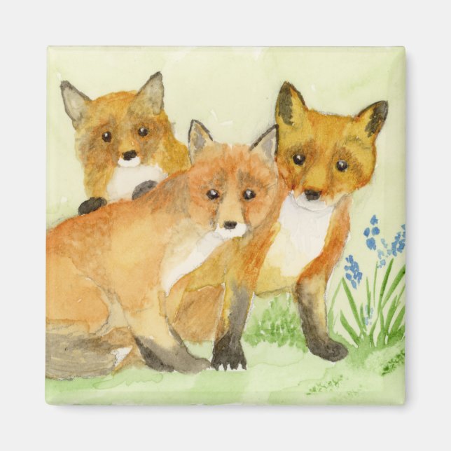Aimant Kits Fox (Devant)