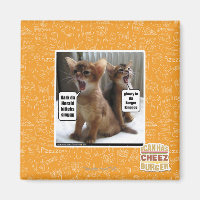 Kitteh carols