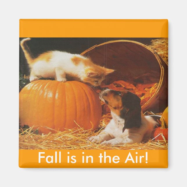 Aimant Kitten, Citrouille et chiot (Devant)