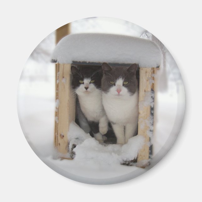 Aimant Kitts-neiges (Devant)