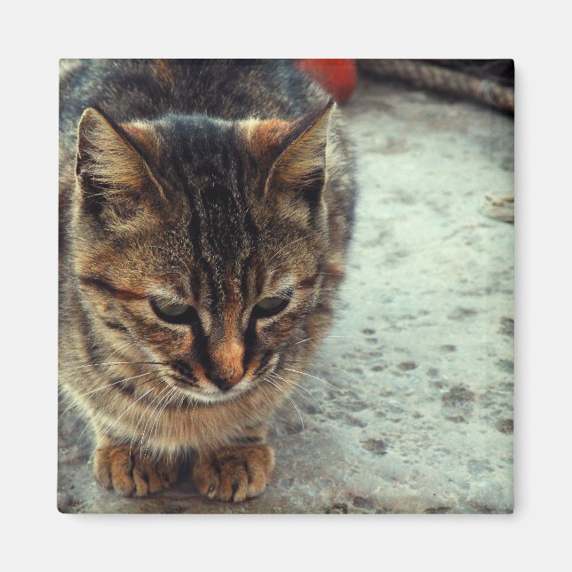 Aimant Kitty (Devant)