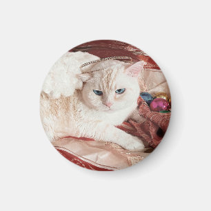 Aimant Kitty Angel pour Noël