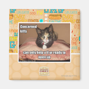 Aimant Kitty Concerné