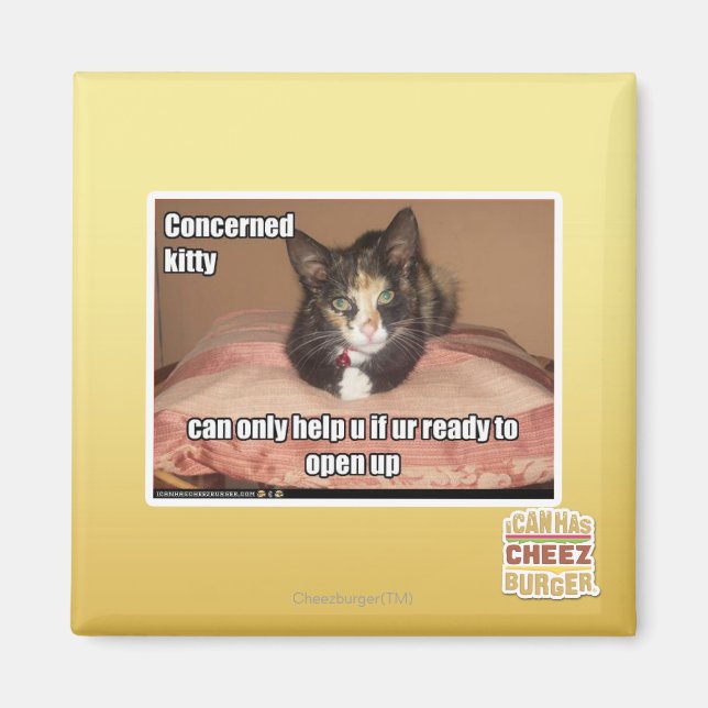 Aimant Kitty Concerné (Devant)