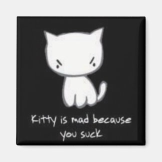 Aimant kitty est fou