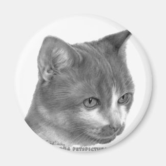 Aimant Kitty, Tabby Cat