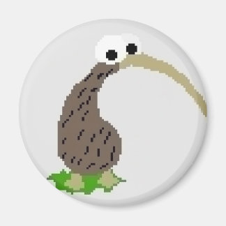 Aimant Kiwi 1