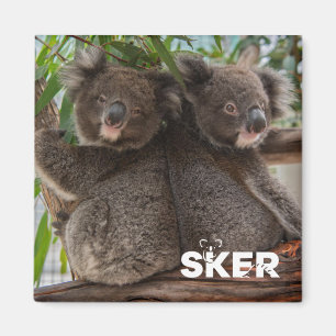 Aimant Koala Joey