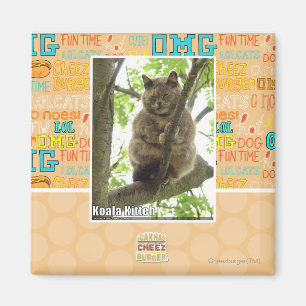 Aimant Koala Kitteh