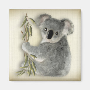 Aimant Koala mignon