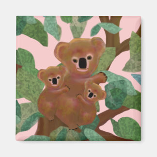 Aimant Koalas dans les Eucalyptus