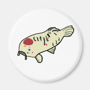Aimant Koi Carp
