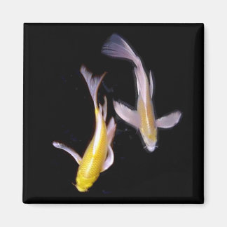 Aimant Koi Pair jaune