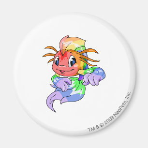 Aimant Koi Rainbow
