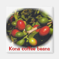Kona Coffee Beans