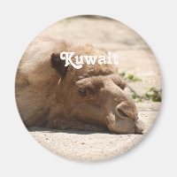 Koweït Camel