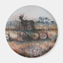 Kudu Bull À Savannah