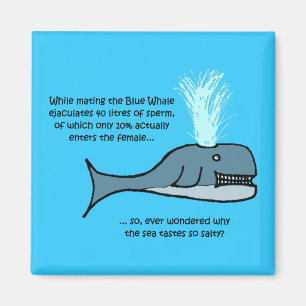 Aimant La baleine bleue...