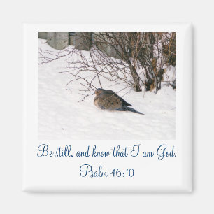 Aimant La colombe dans l'aimant de la neige