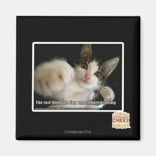 Aimant La dernière chose