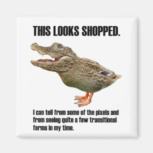 Aimant La duperie de Crocoduck