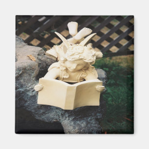 Aimant La Féerie à lire dans un étang de Koi.....