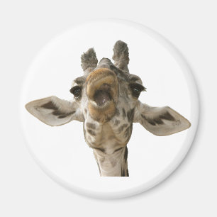 Aimant La girafe maladroite de Helaine
