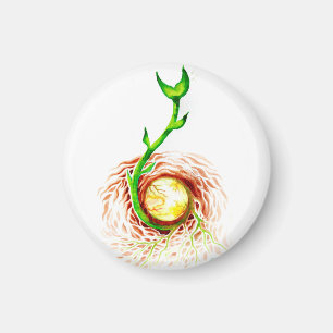 Aimant La graine de la vie poster toile imprimé carte pos