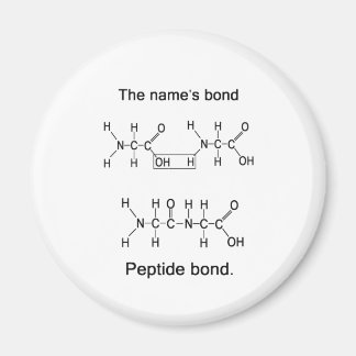Aimant La liaison du nom, liaison peptidique