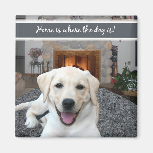 Aimant La maison est où le chien est