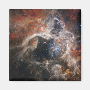 Aimant La Nebula Tarantula   NIRCam   JWST