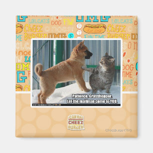 Aimant La patience, sauterelle