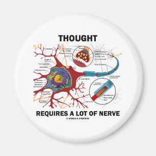 Aimant La pensée exige beaucoup de nerf (la synapse)
