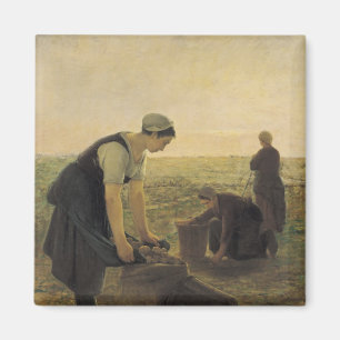 Aimant La récolte de pommes de terre