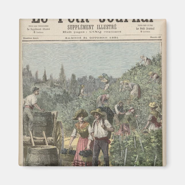 Aimant La Récolte De Vins (Devant)