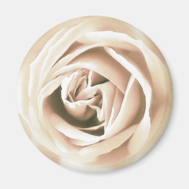 Aimant La Rose blanche (Devant)