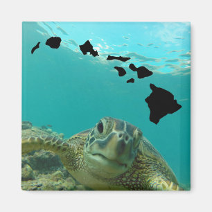 Aimant La tortue de Hanauma Bay Oahu Hawaii