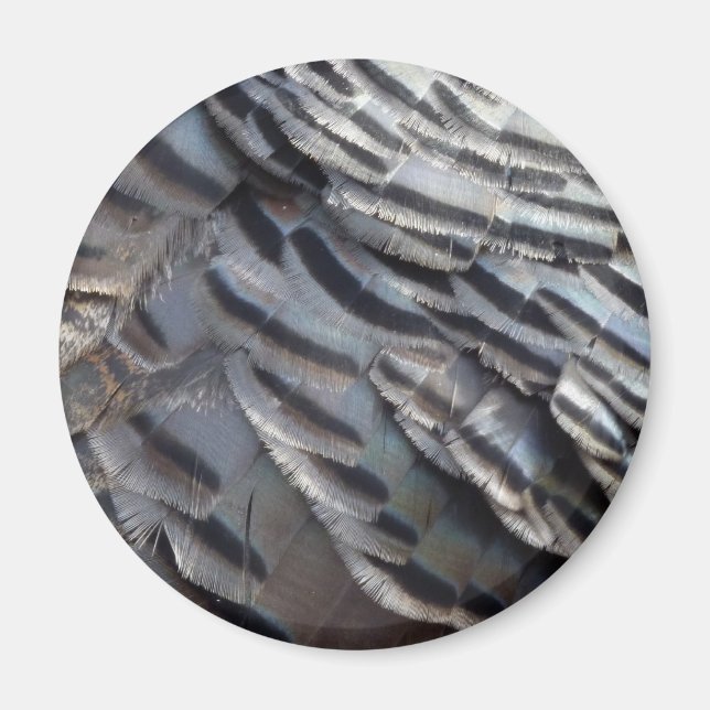 Aimant La Turquie sauvage plumes II Design Abstrait de la (Devant)