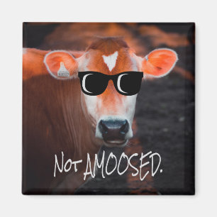 Aimant La vache dans les lunettes de soleil Pas une MOOse