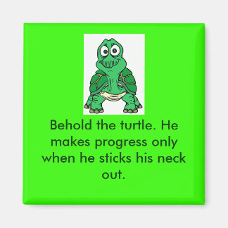 Aimant La vérité de la tortue