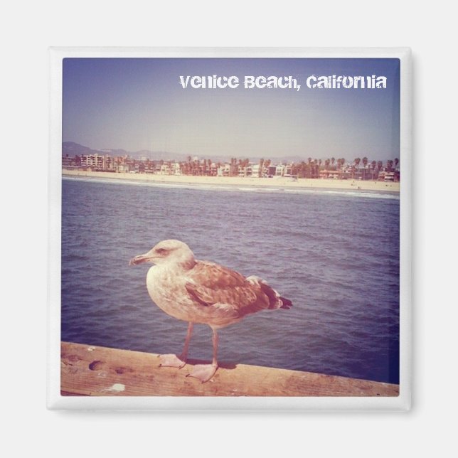 Aimant la vie d'un mouette (Devant)