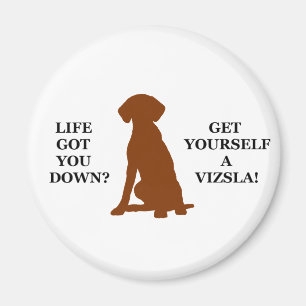Aimant La Vie T'A Fait Tomber ? Prenez-Vous Une Vizsla !