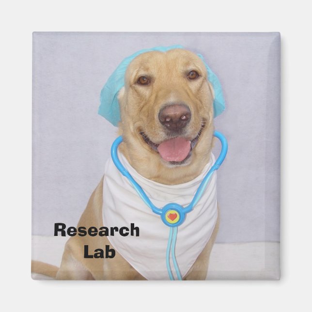 Aimant Laboratoire de recherche (Devant)