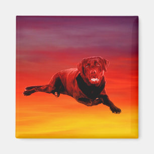 Aimant Labrador Chien assis sur la plage