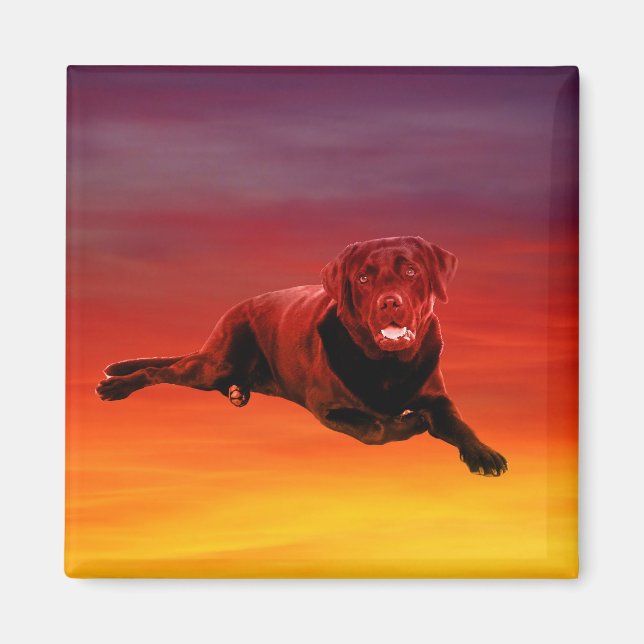 Aimant Labrador Chien assis sur la plage (Devant)