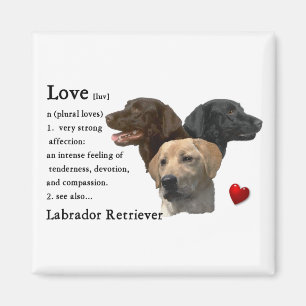 Aimant Labrador Retriever Art Don