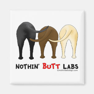 Aimant Labs à boutons